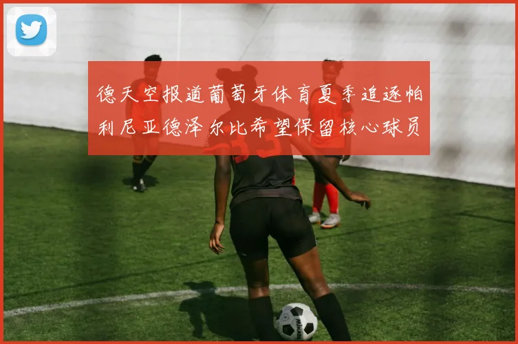 德天空报道葡萄牙体育夏季追逐帕利尼亚德泽尔比希望保留核心球员